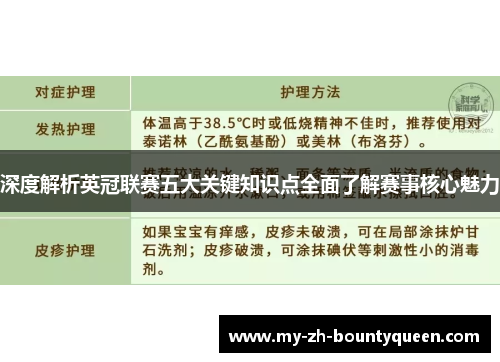 深度解析英冠联赛五大关键知识点全面了解赛事核心魅力