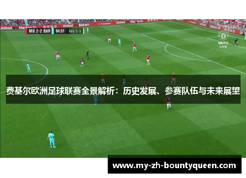 费基尔欧洲足球联赛全景解析：历史发展、参赛队伍与未来展望